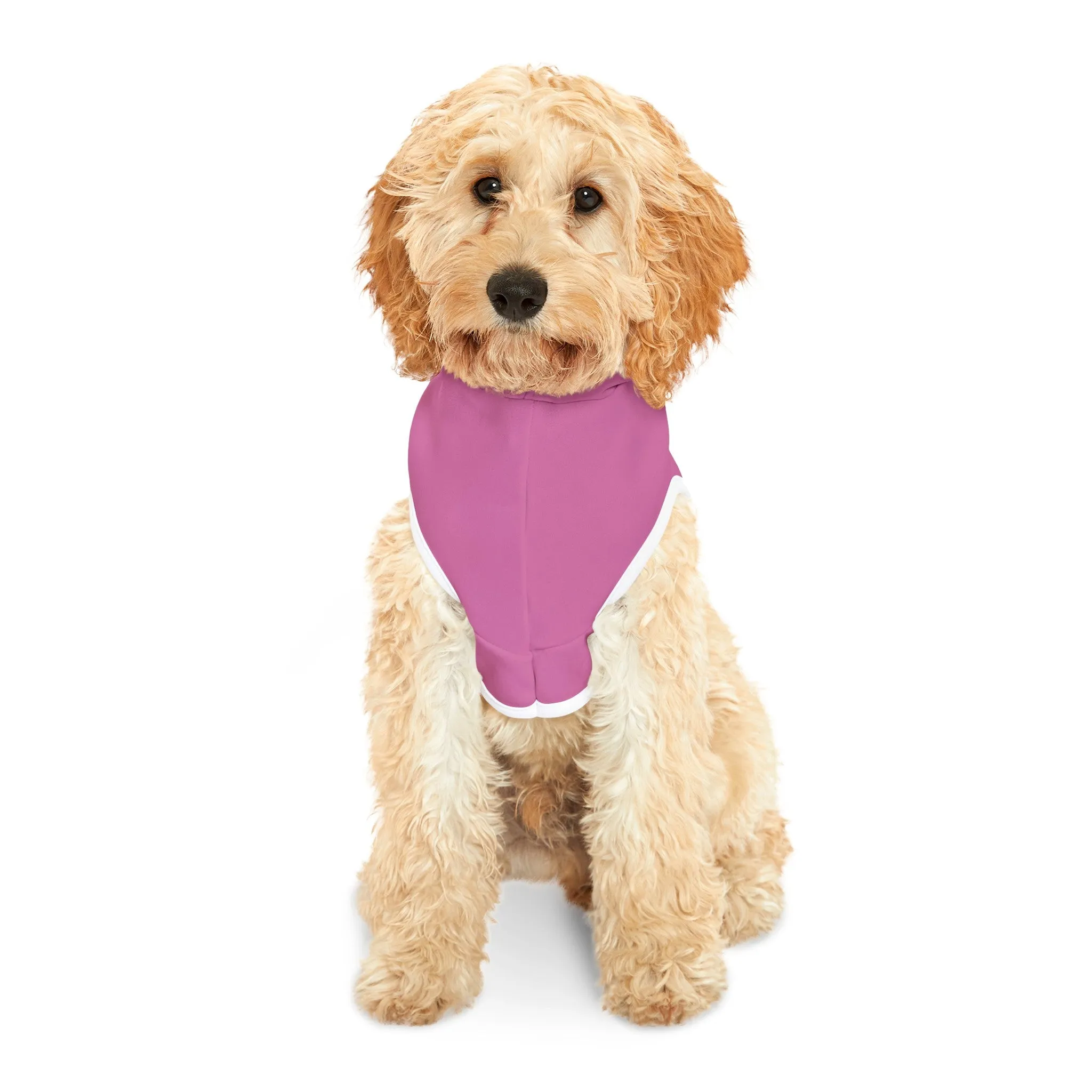 Lil Slut Funny Hoodie Shirt for Cats or Dogs