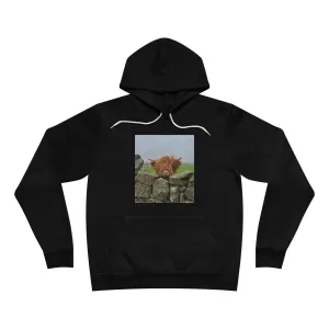 Unisex  Fleece Pullover Hoodie